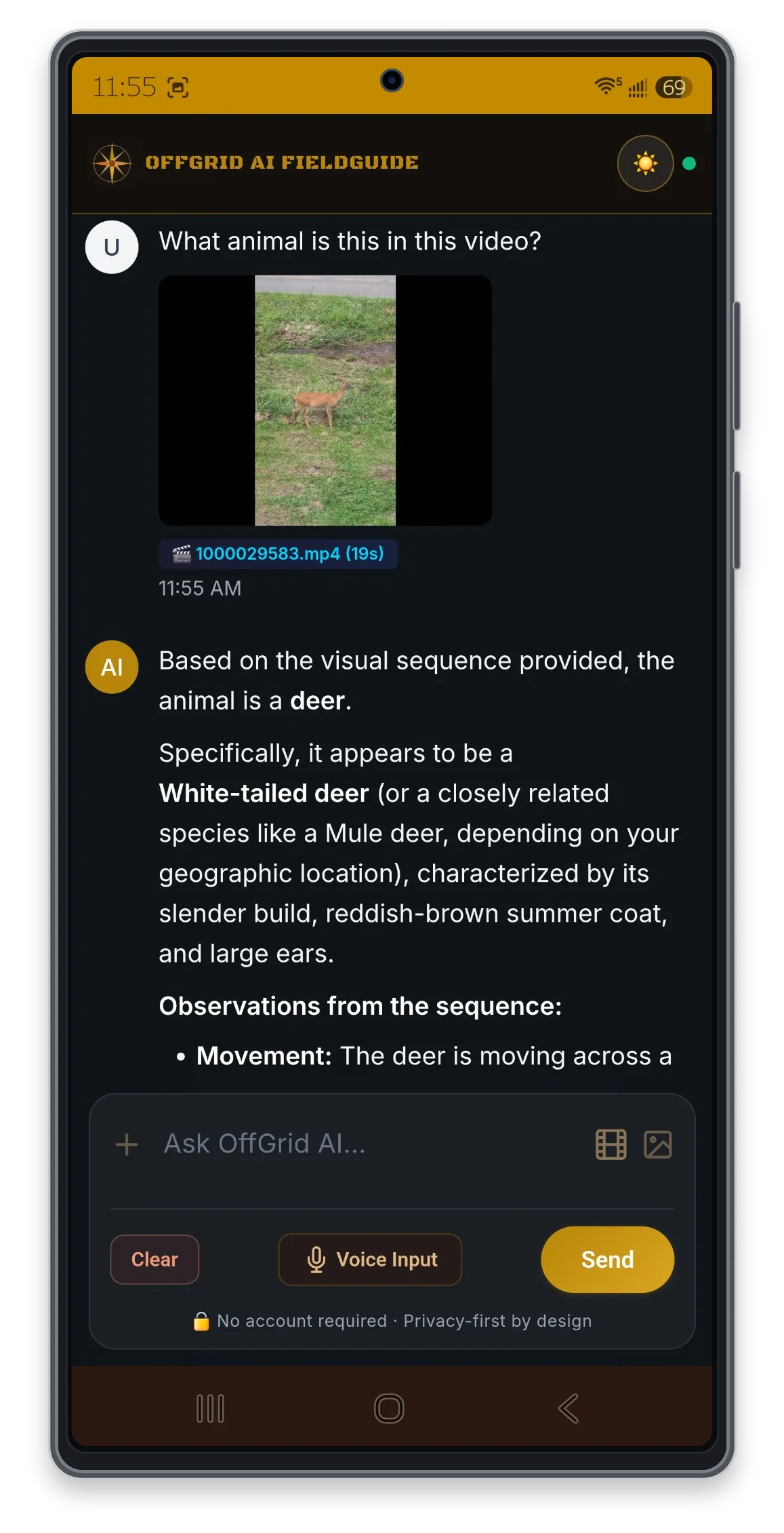 Short-video analysis result in OffGrid AI FieldGuide